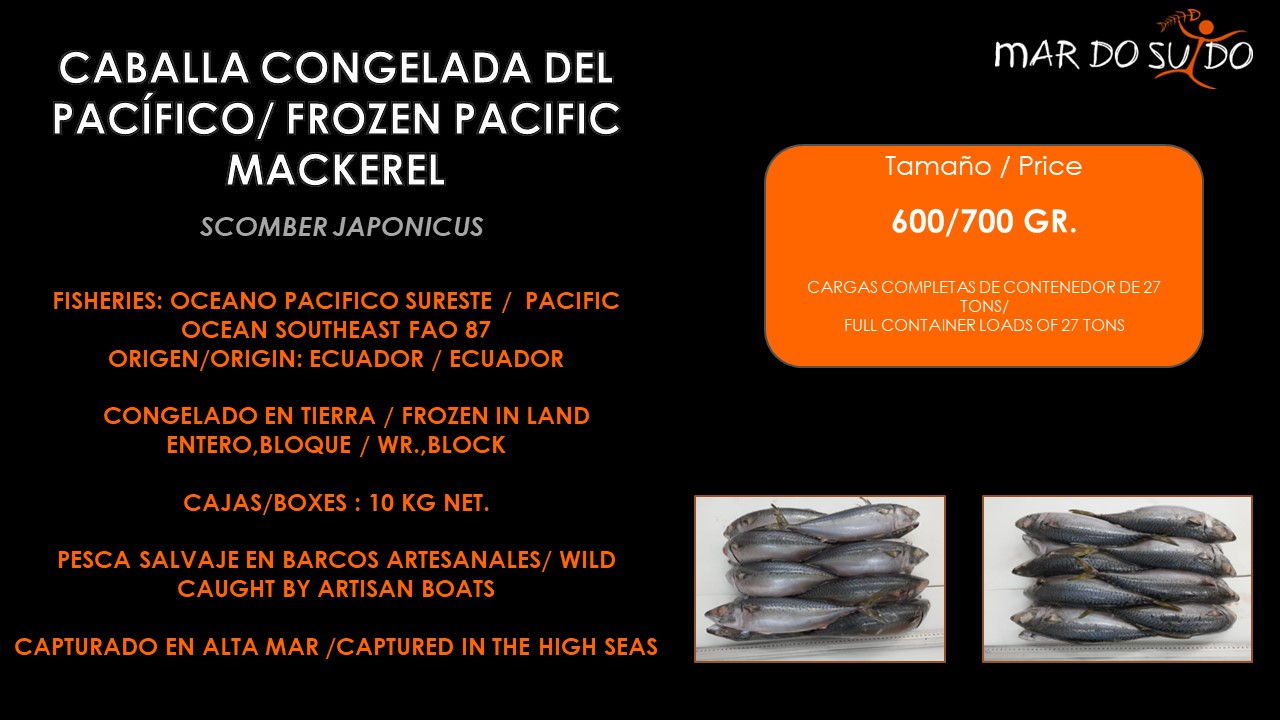 Caballa Congelada del Pacífico - Pacific Frozen Mackerel